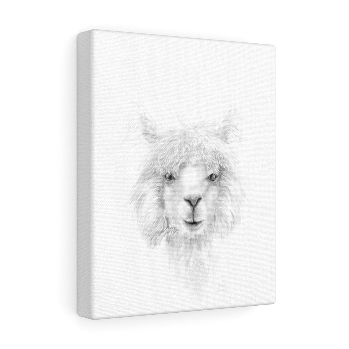 QUINN Llama - Art Canvas