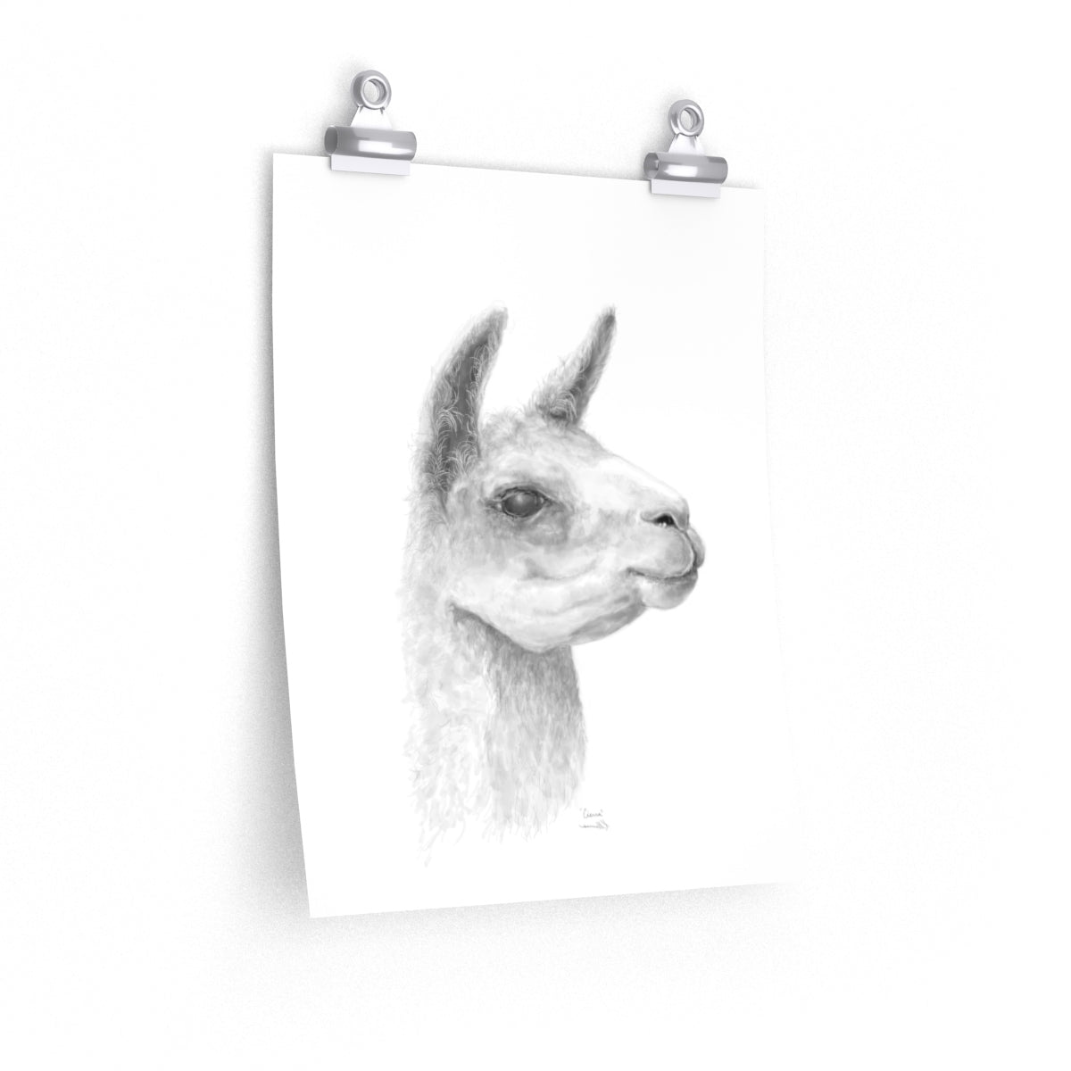 CIERRA Llama- Art Paper Print
