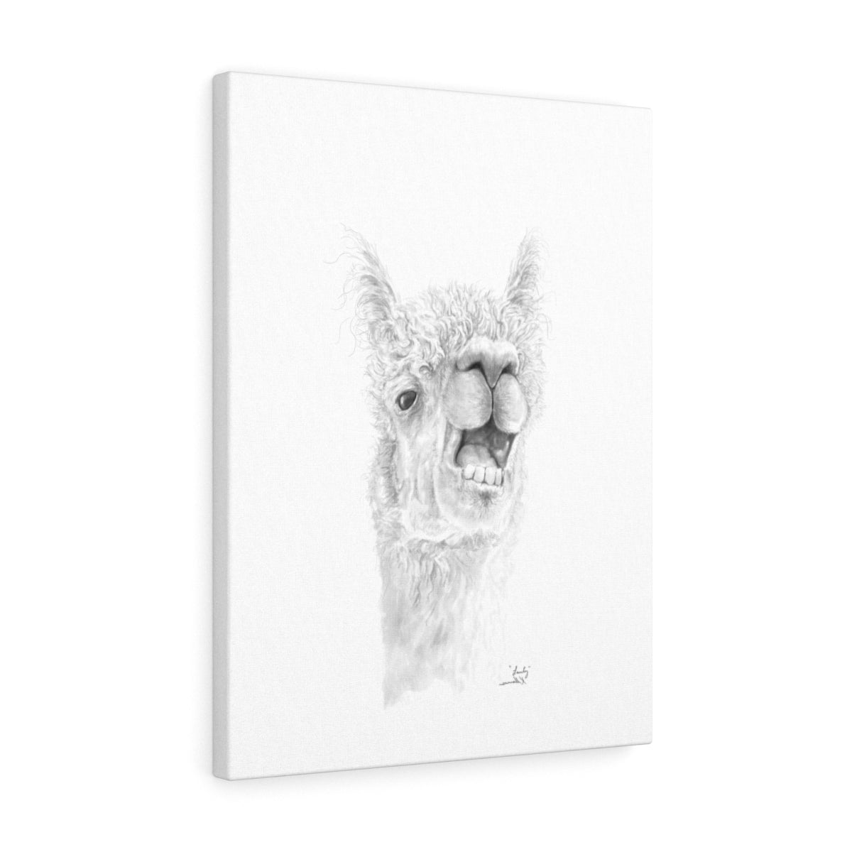 LANTY Llama - Art Canvas