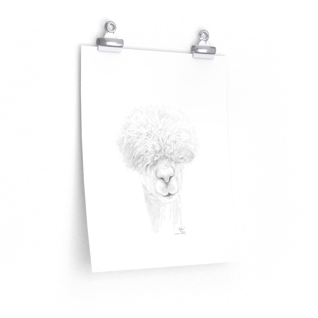 SYLAR Llama- Art Paper Print