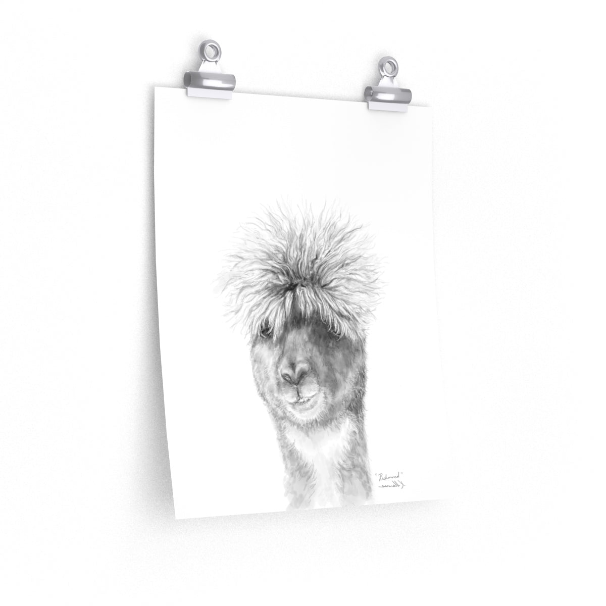 RICHMOND Llama- Art Paper Print
