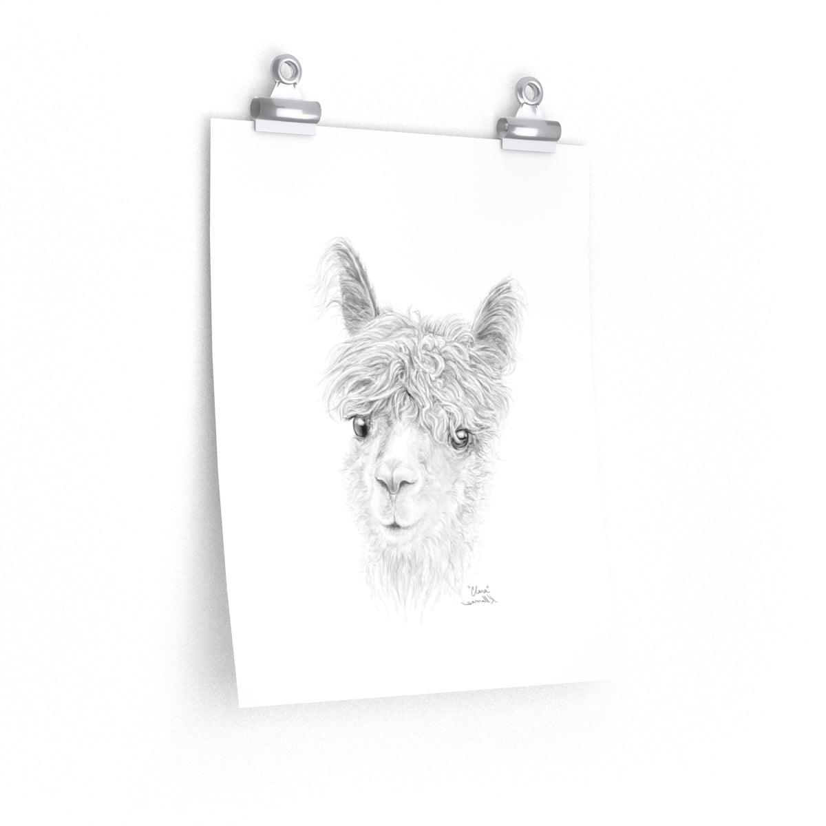 CLARA Llama- Art Paper Print