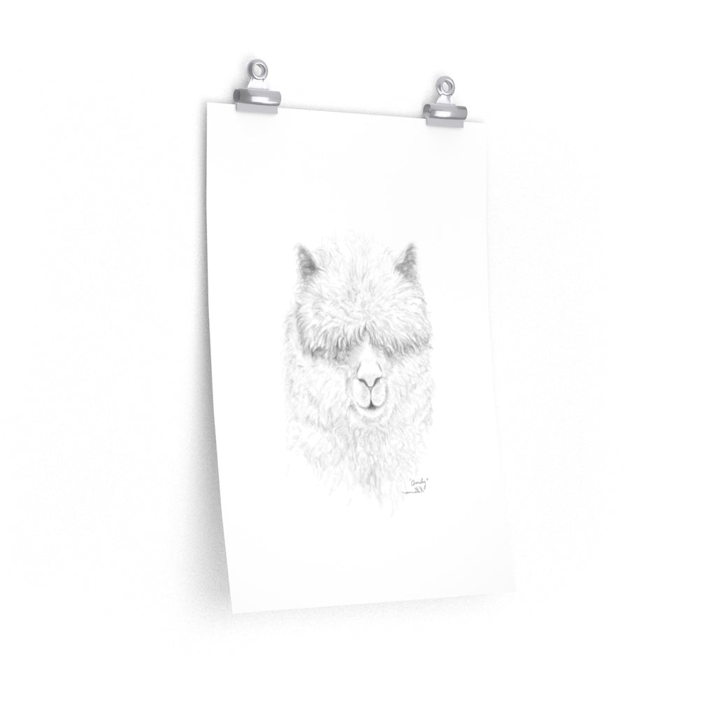 OMILY Llama- Art Paper Print
