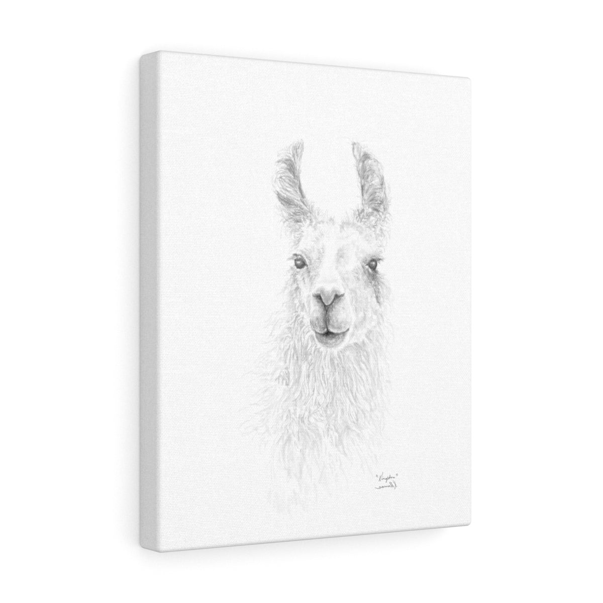 KINGSTON Llama - Art Canvas