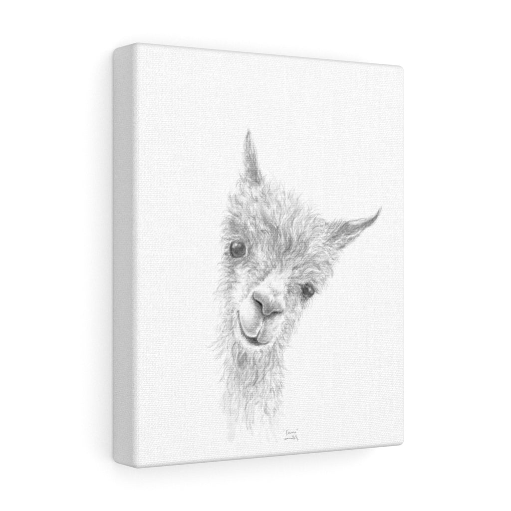 EMMA Llama - Art Canvas