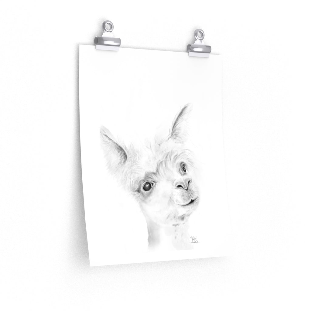 JULIE Llama- Art Paper Print