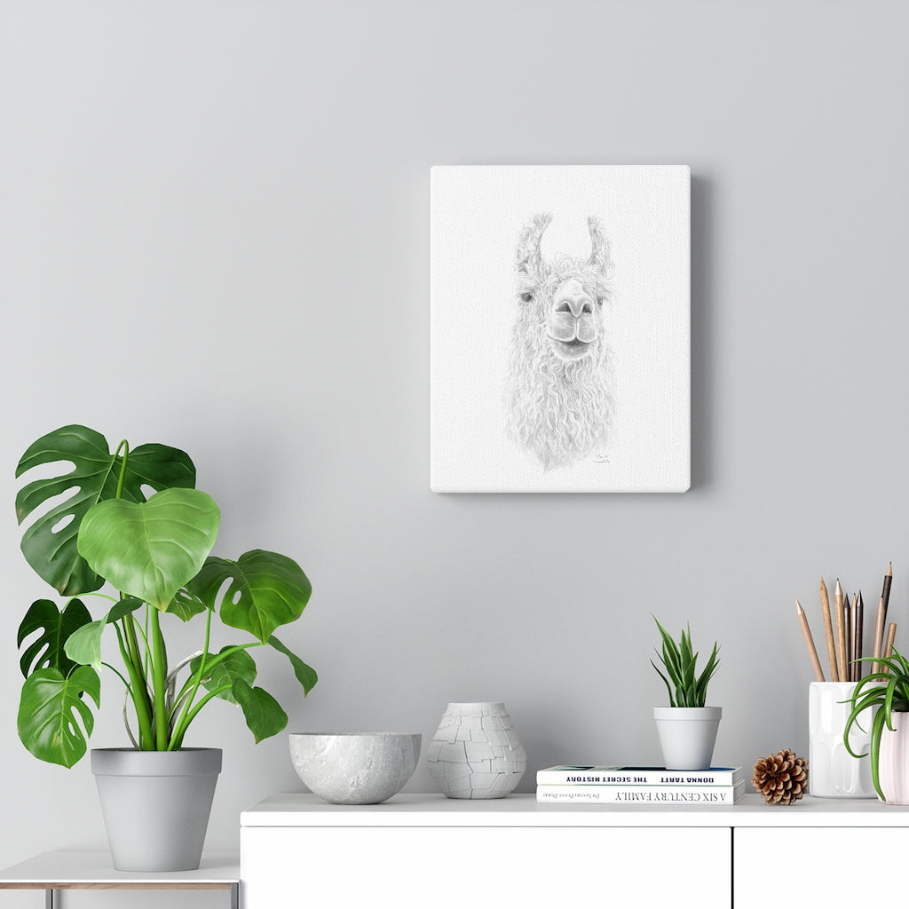 MARISA Llama - Art Canvas