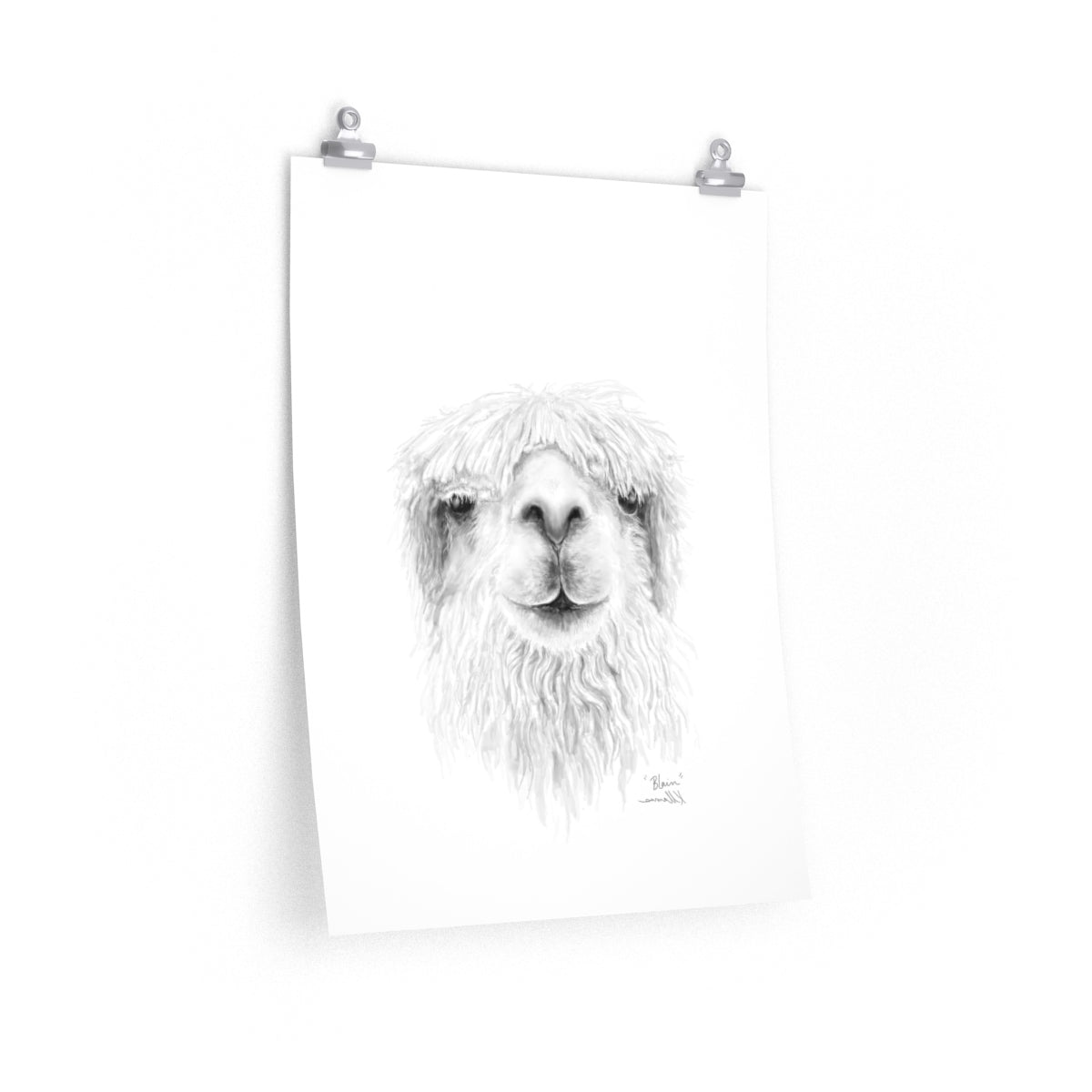 BLAIN Llama- Art Paper Print