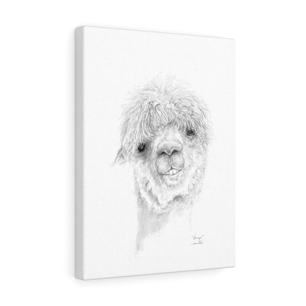 HOUZER Llama - Art Canvas