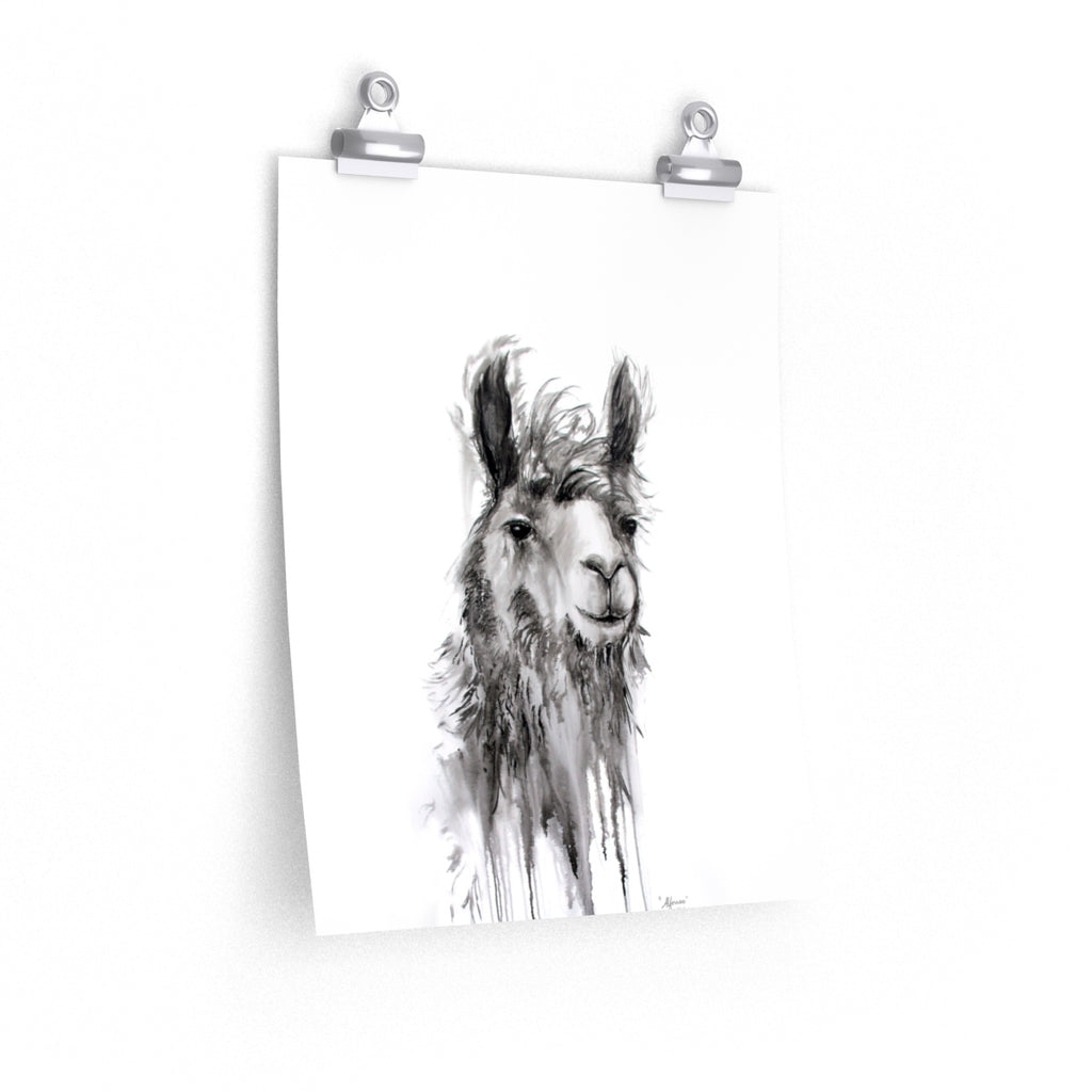 ALFONSO Llama- Art Paper Print
