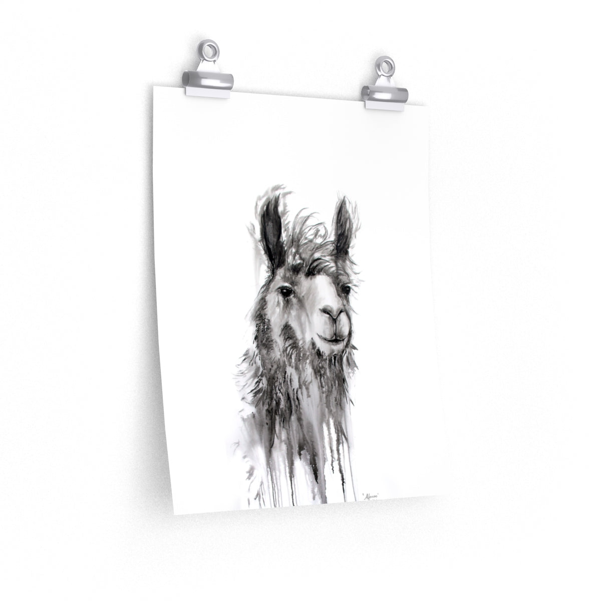 ALFONSO Llama- Art Paper Print
