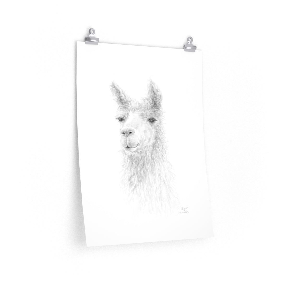ABIGAIL Llama- Art Paper Print