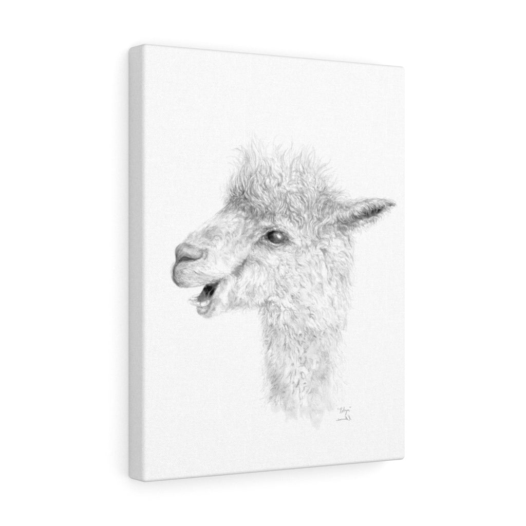 ROBYN Llama - Canvas