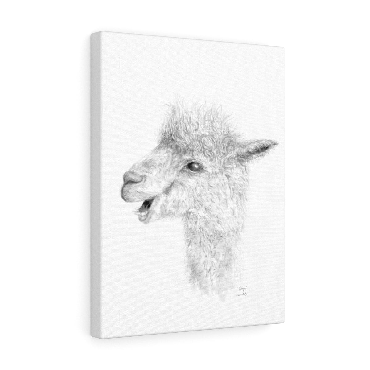 ROBYN Llama - Canvas
