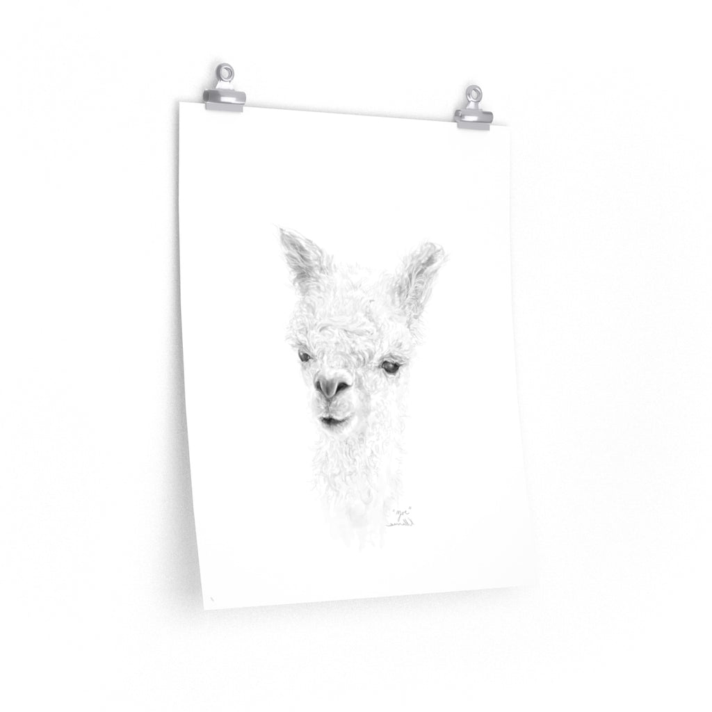 ZOE Llama- Art Paper Print