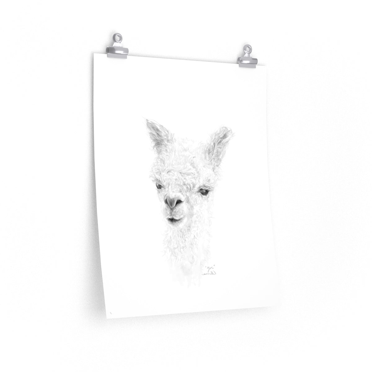 ZOE Llama- Art Paper Print