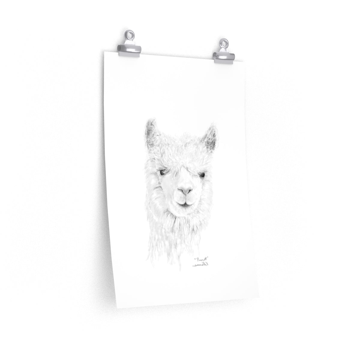 PRESCOTT Llama- Art Paper Print