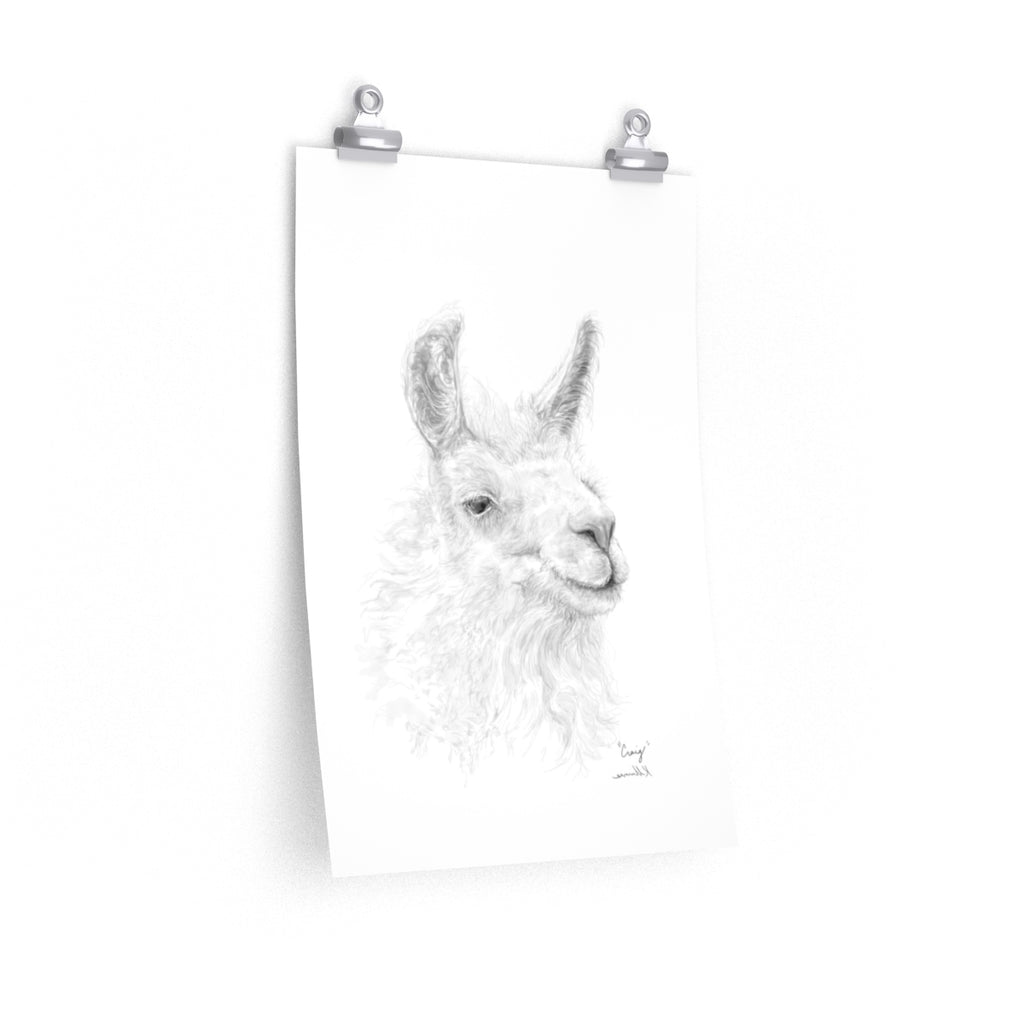 CRAIG Llama- Art Paper Print