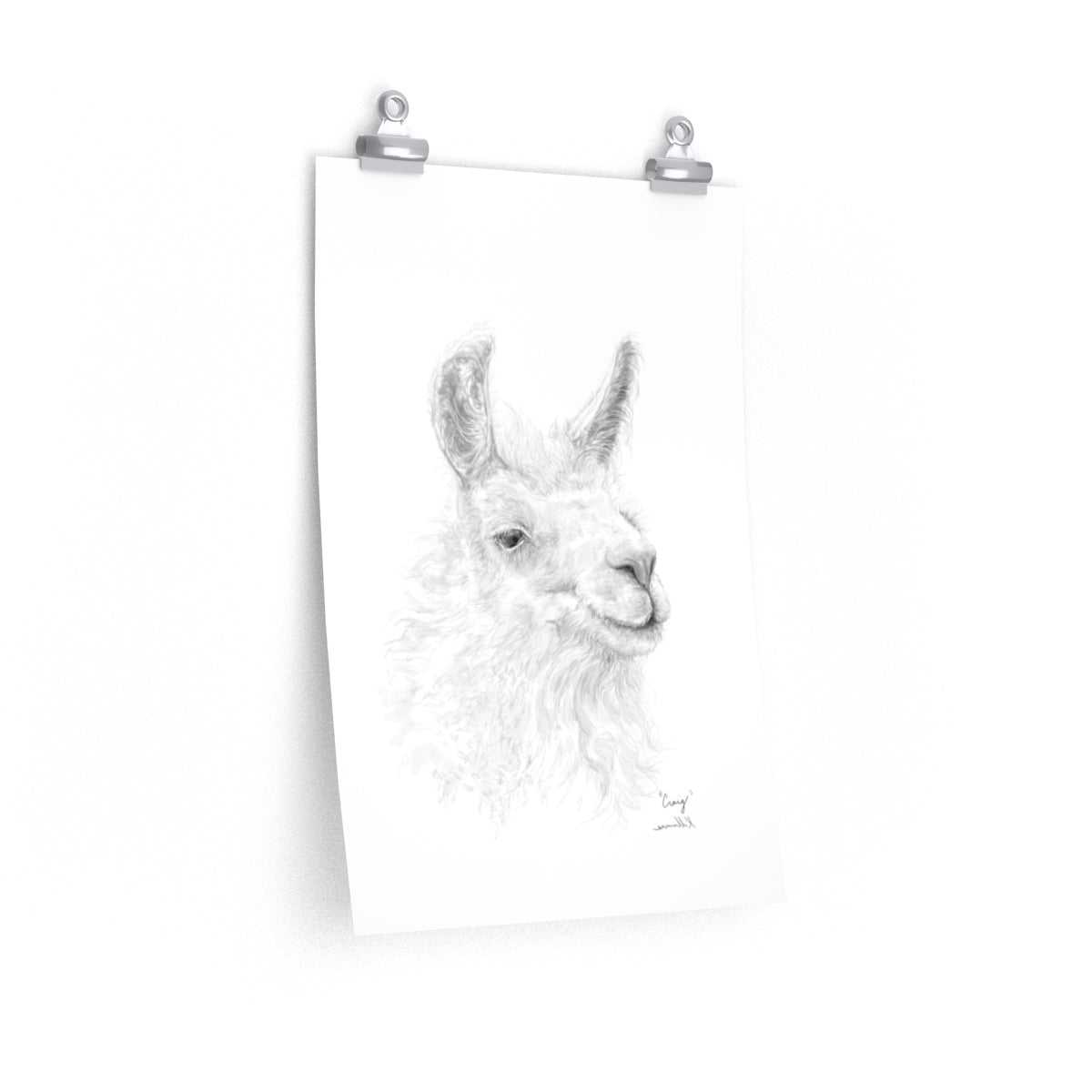 CRAIG Llama- Art Paper Print