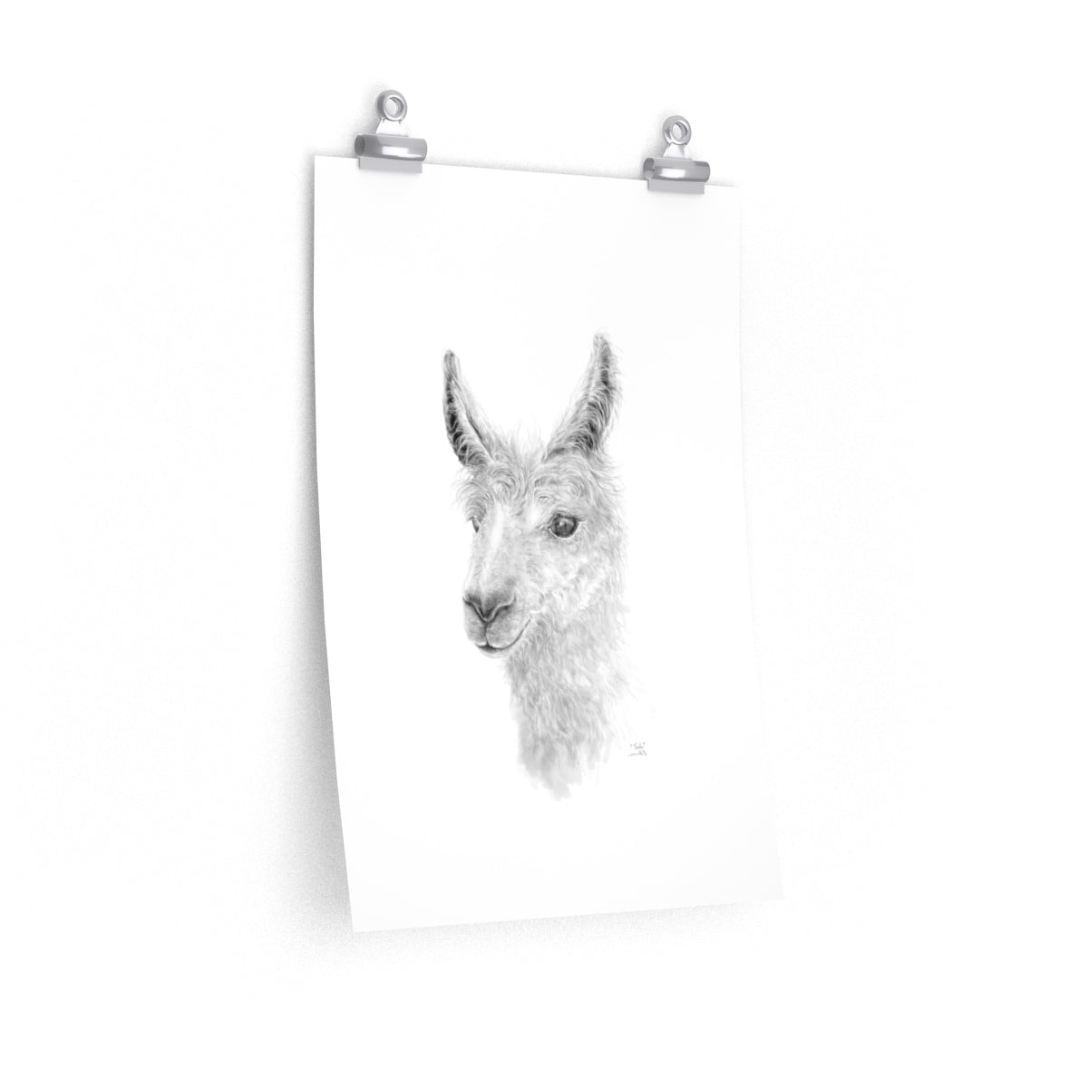 TEELE Llama- Art Paper Print