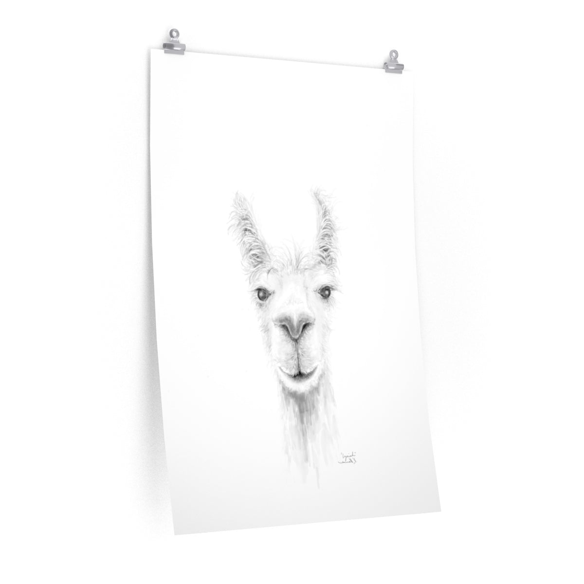 IZAIAH Llama- Art Paper Print