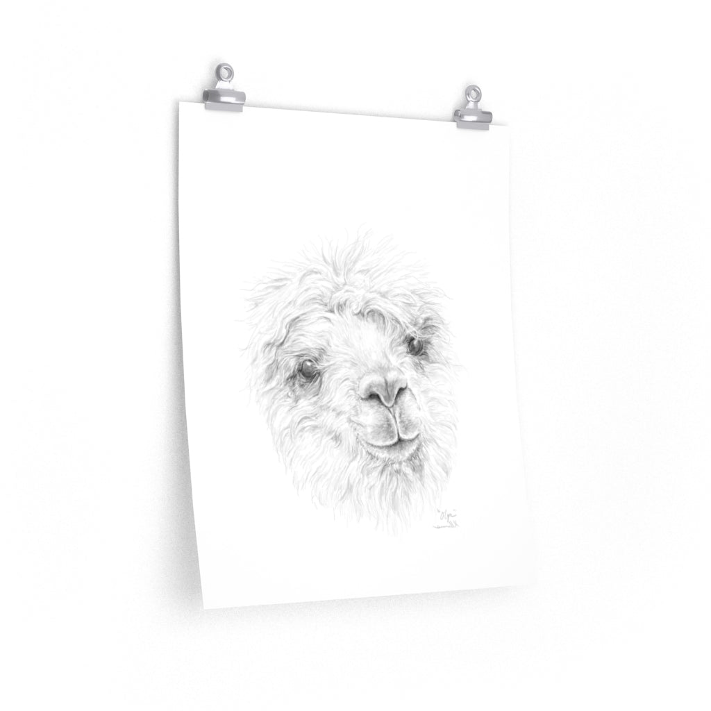 OLGA Llama- Art Paper Print