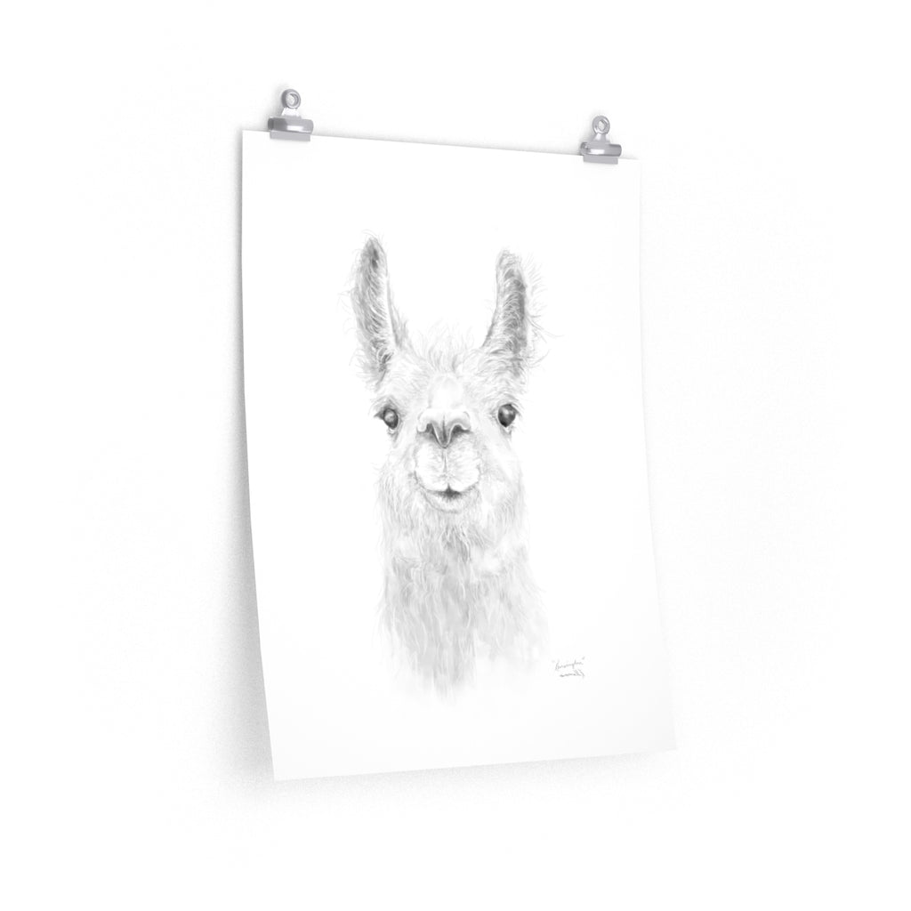 KENSINGTON Llama- Art Paper Print