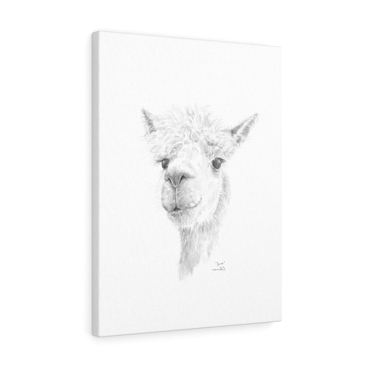 Jenna Llama - Art Canvas