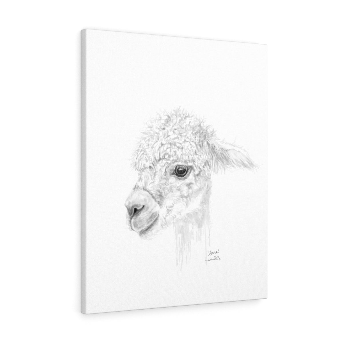 ANNA Llama - Art Canvas