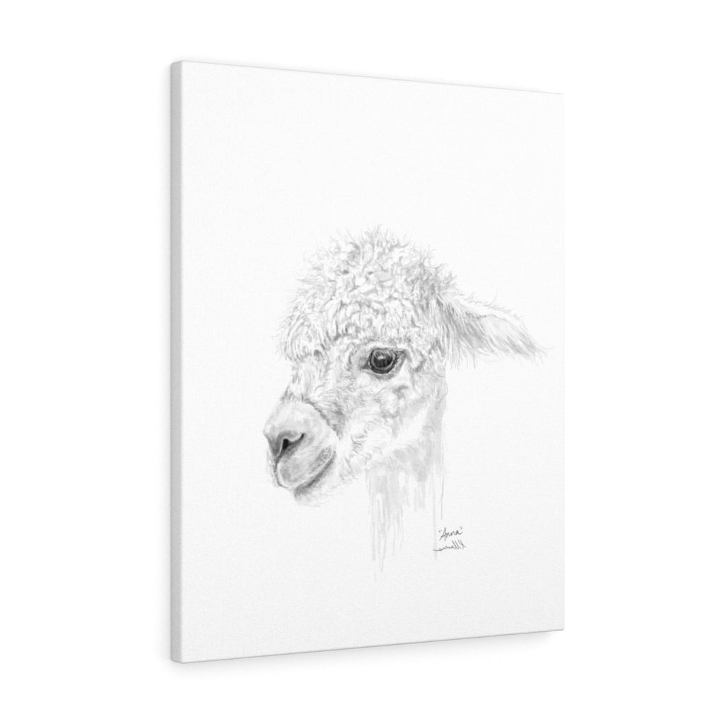 ANNA Llama - Art Canvas