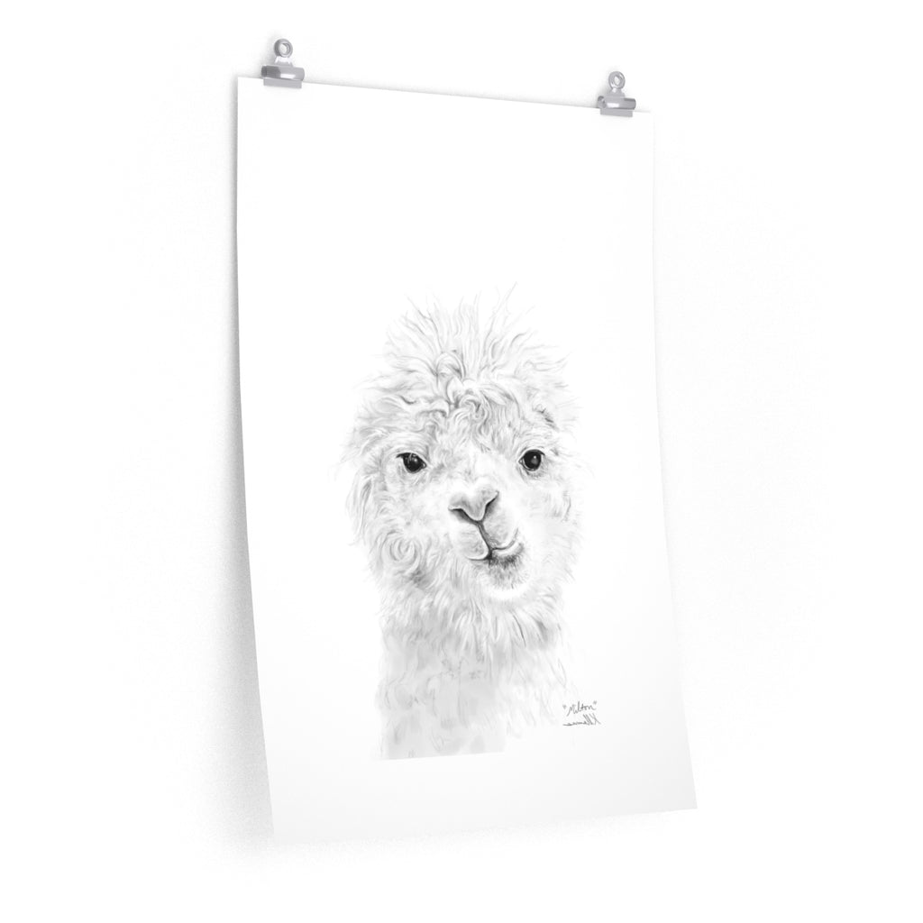 MILTON Llama- Art Paper Print