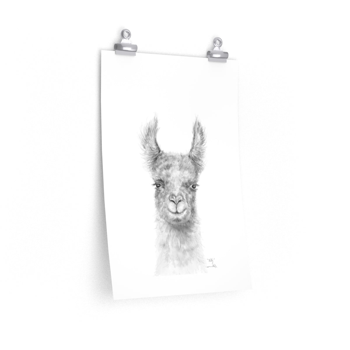 KELLY Llama- Art Paper Print