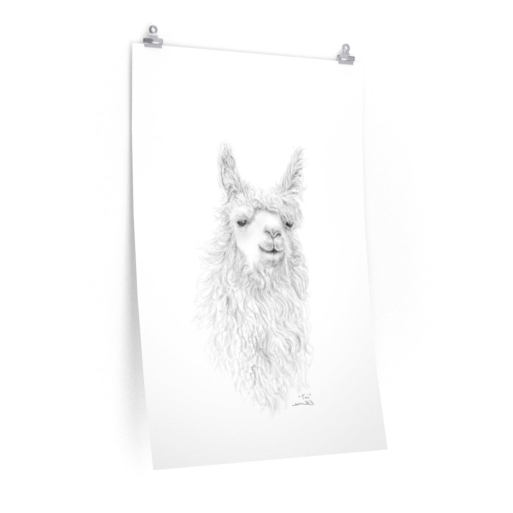 TORI Llama- Art Paper Print