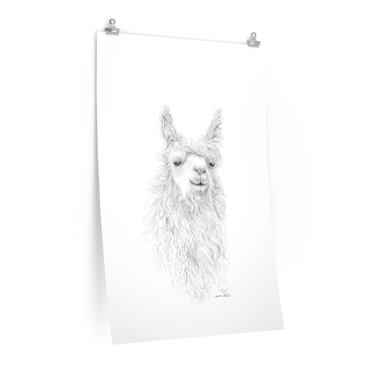 TORI Llama- Art Paper Print