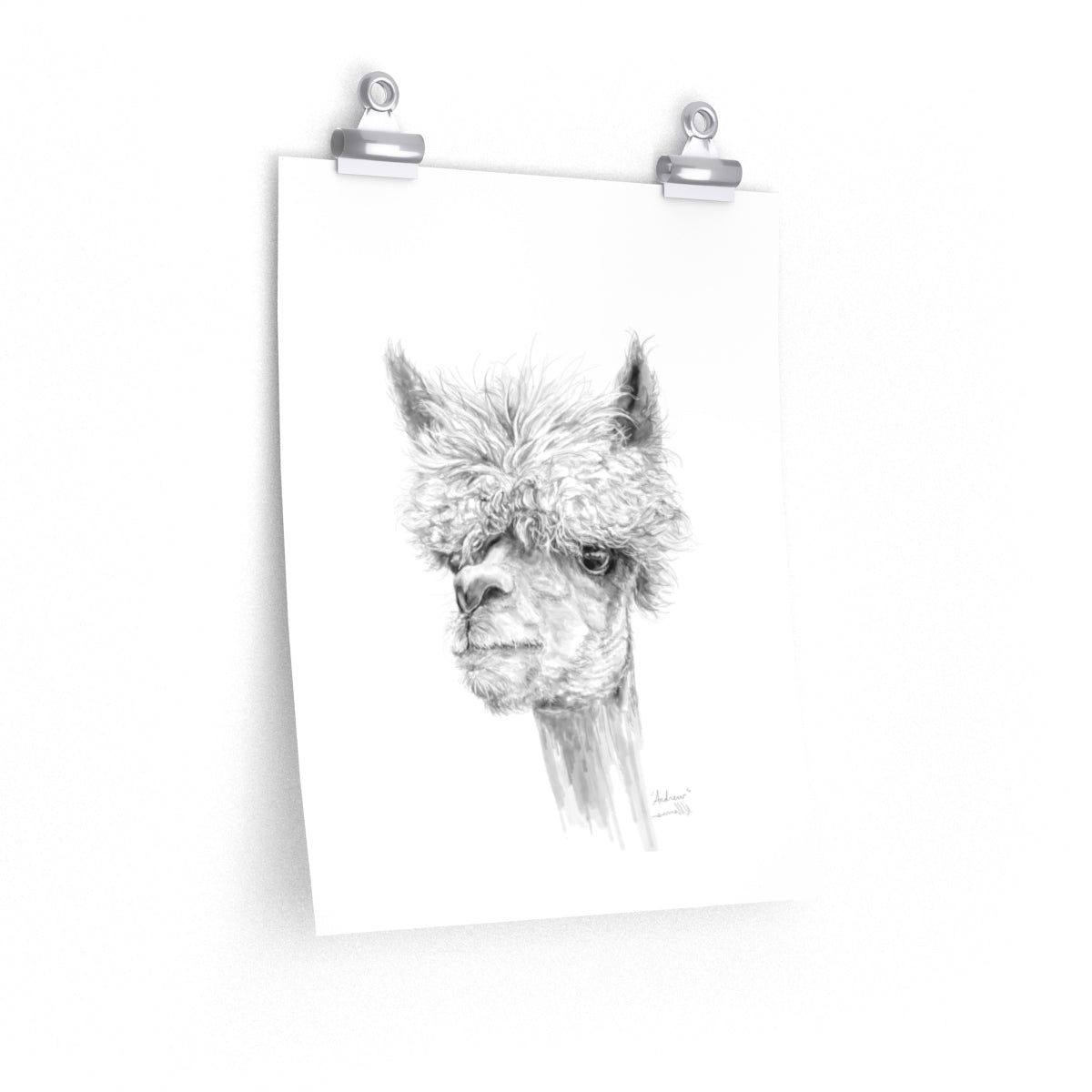 ANDREW Llama- Art Paper Print