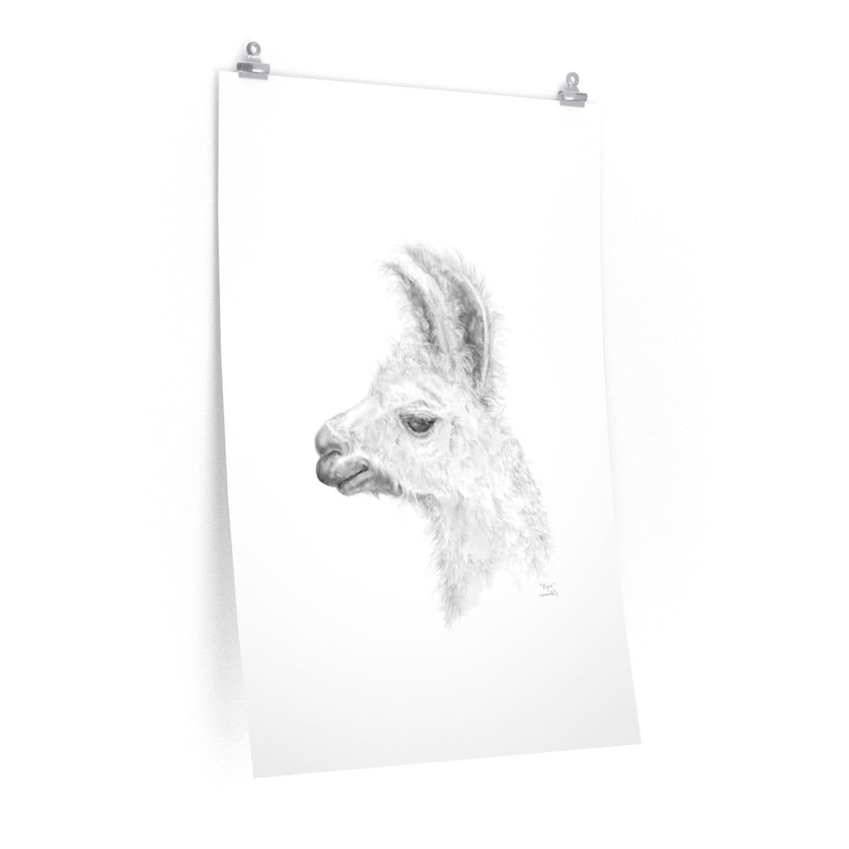 EZRA Llama- Art Paper Print