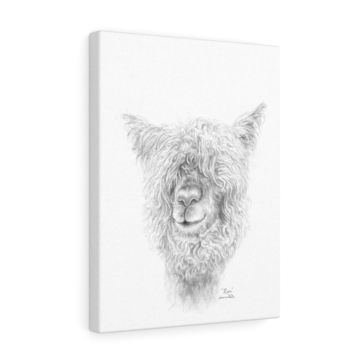 RION Llama - Art Canvas