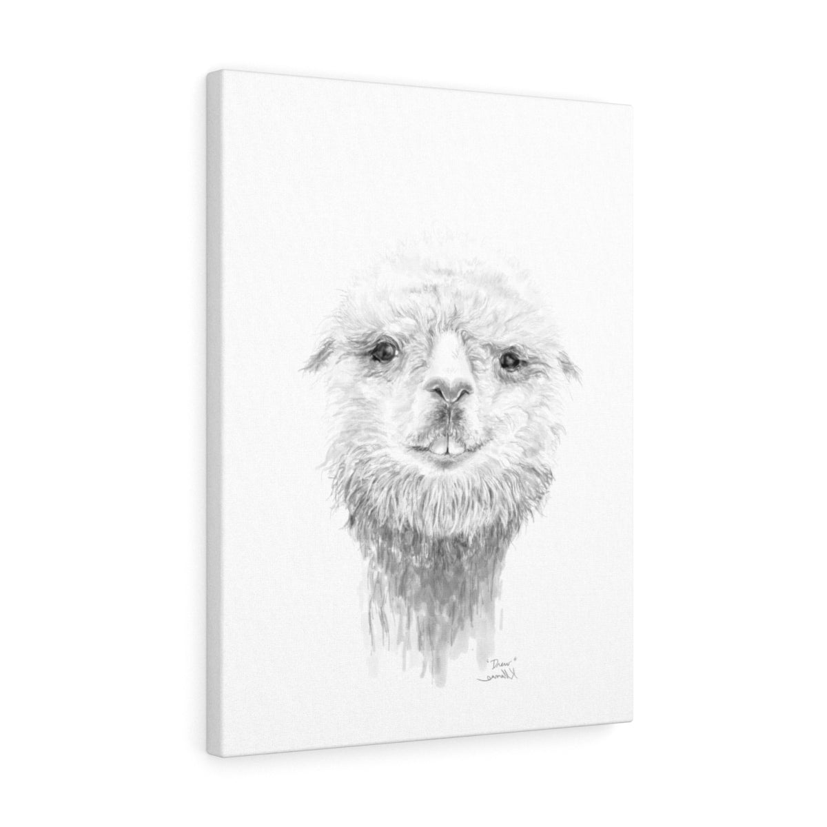 DREW Llama - Art Canvas