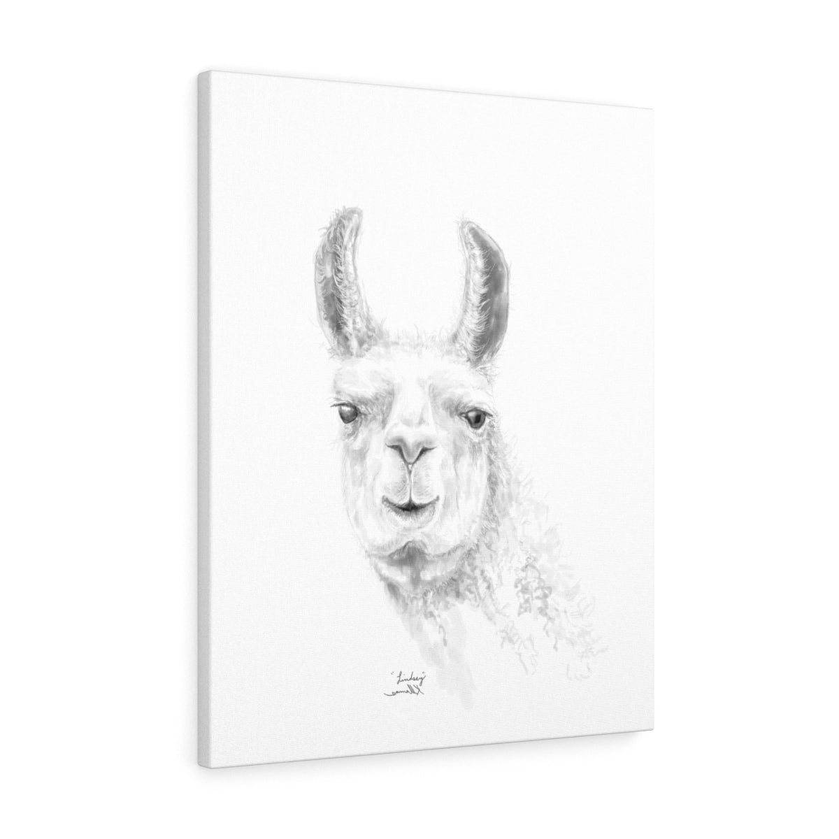 LINDSEY Llama - Art Canvas