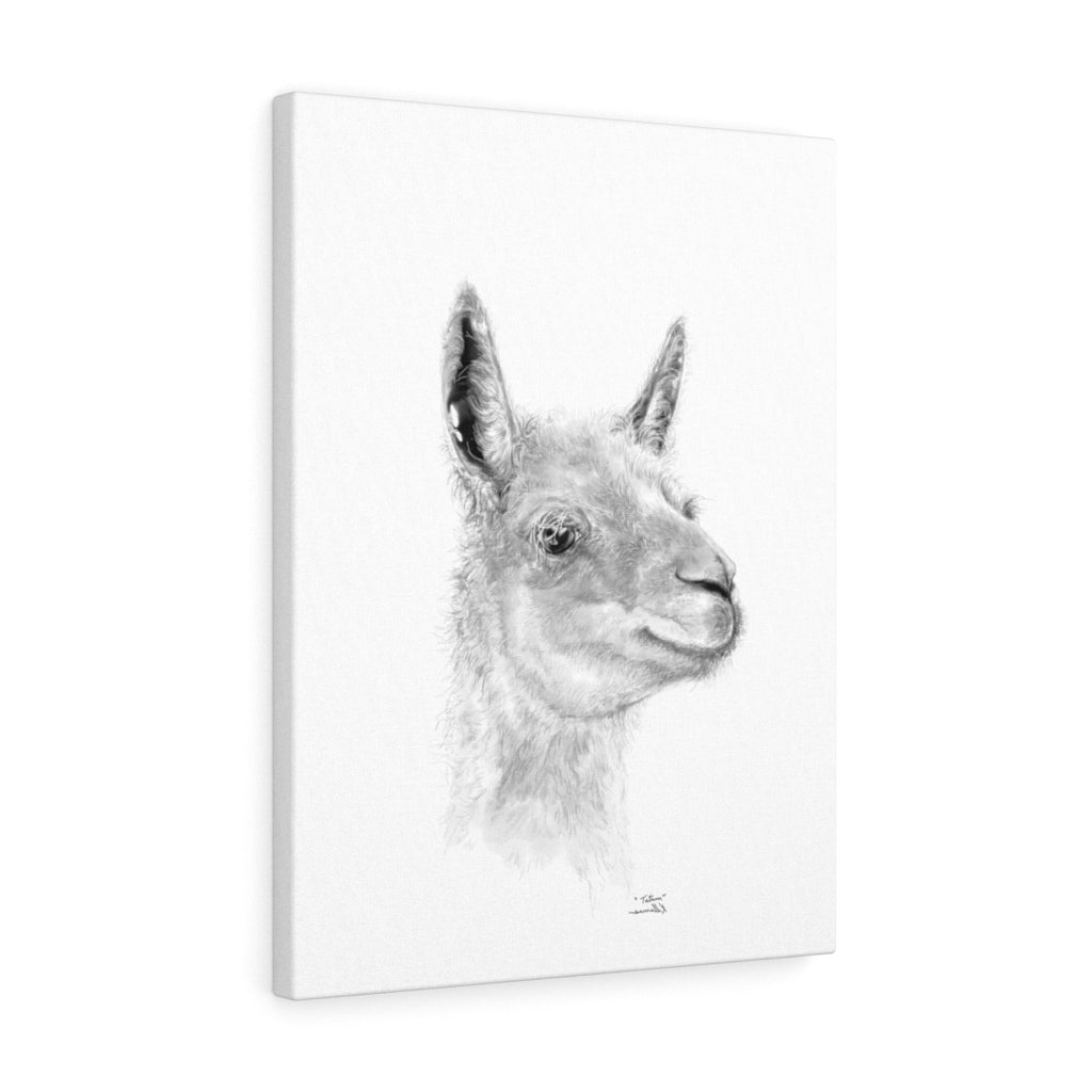 TATUM - Llama Canvas
