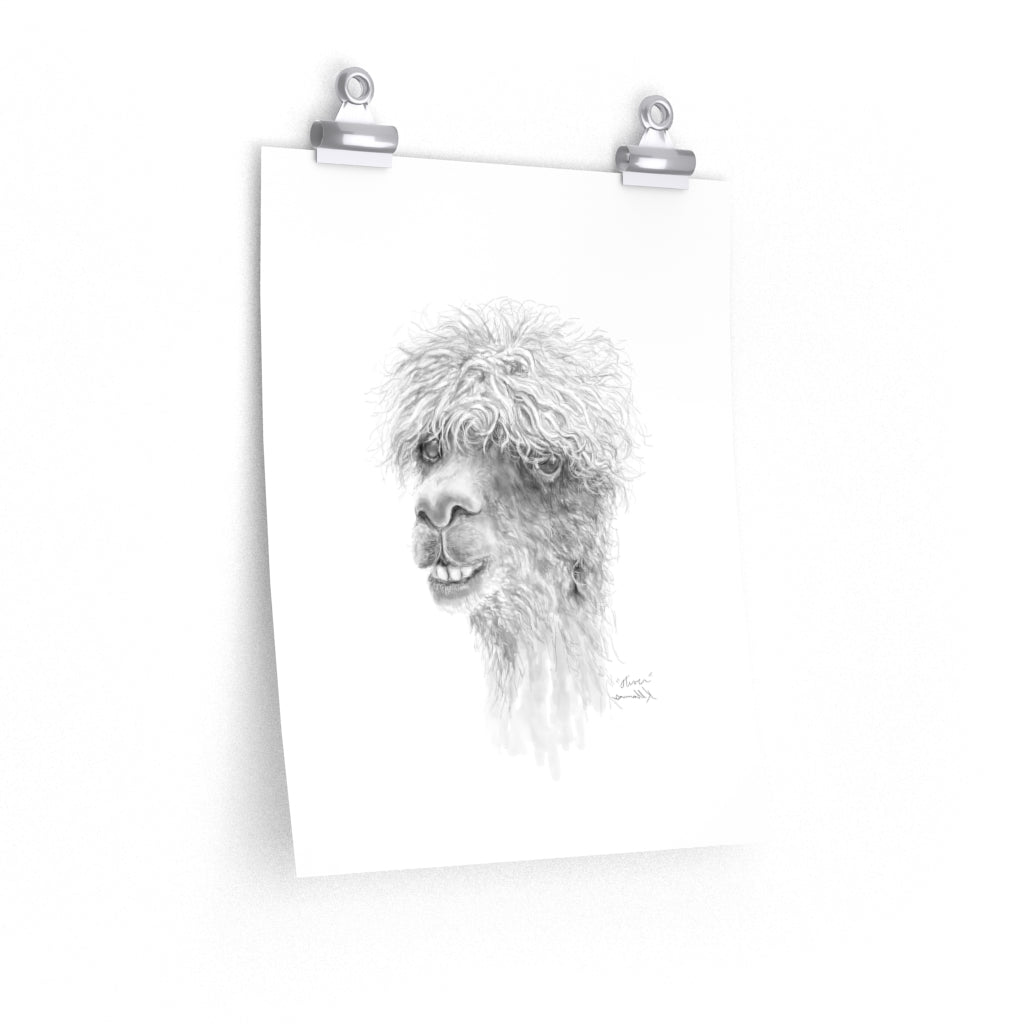 OLIVER Llama- Art Paper Print