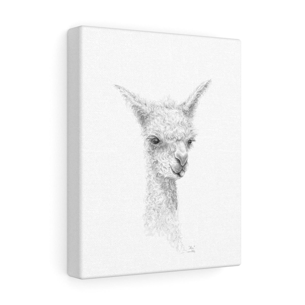 ALICE Llama - Art Canvas