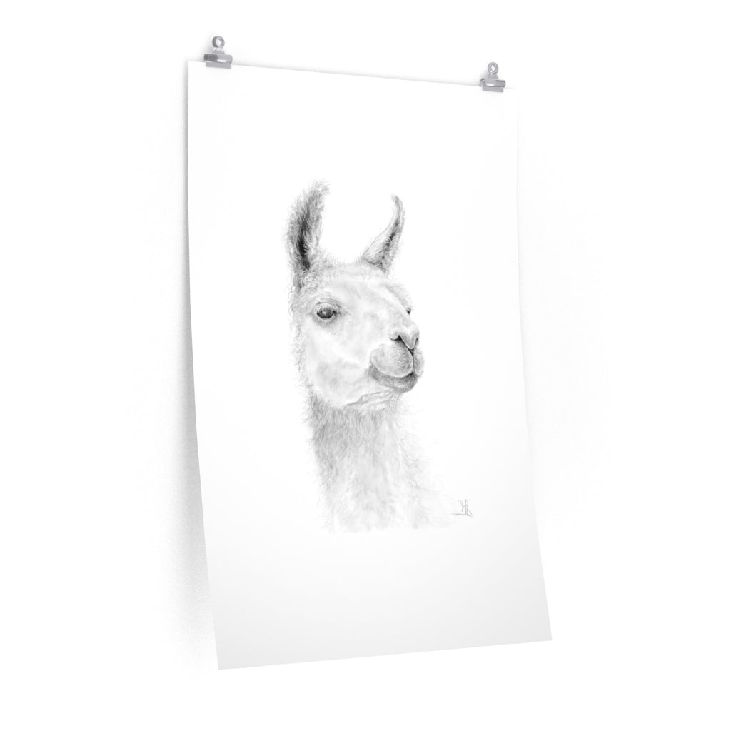 JEFF Llama- Art Paper Print
