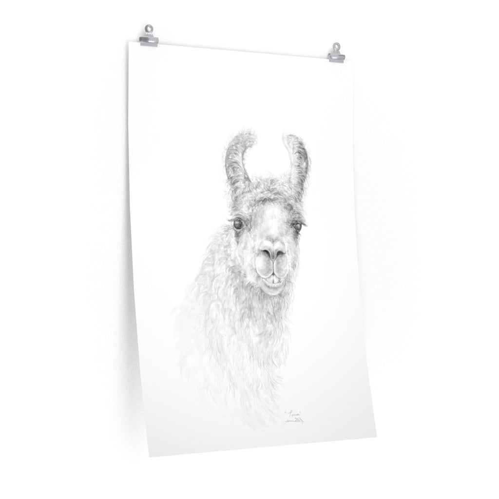 TONIA Llama- Art Paper Print