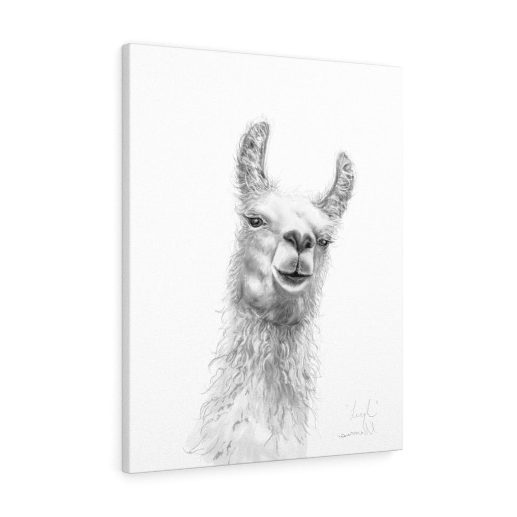 LEIGH Llama - Art Canvas