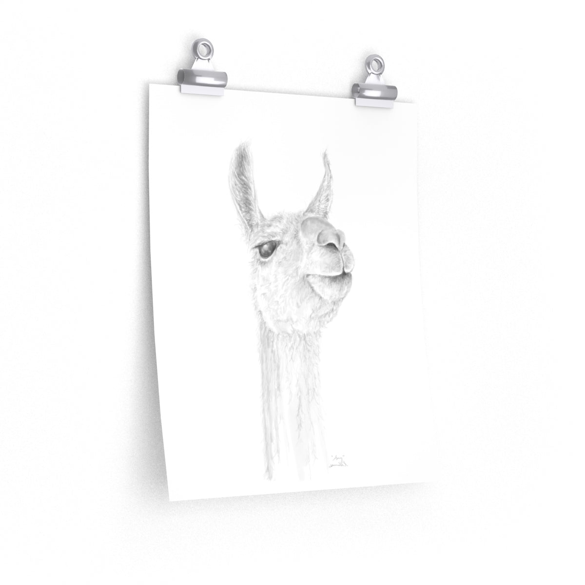 AMY Llama- Art Paper Print