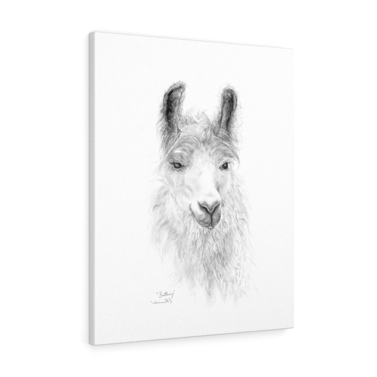 BRITTANY Llama - Art Canvas