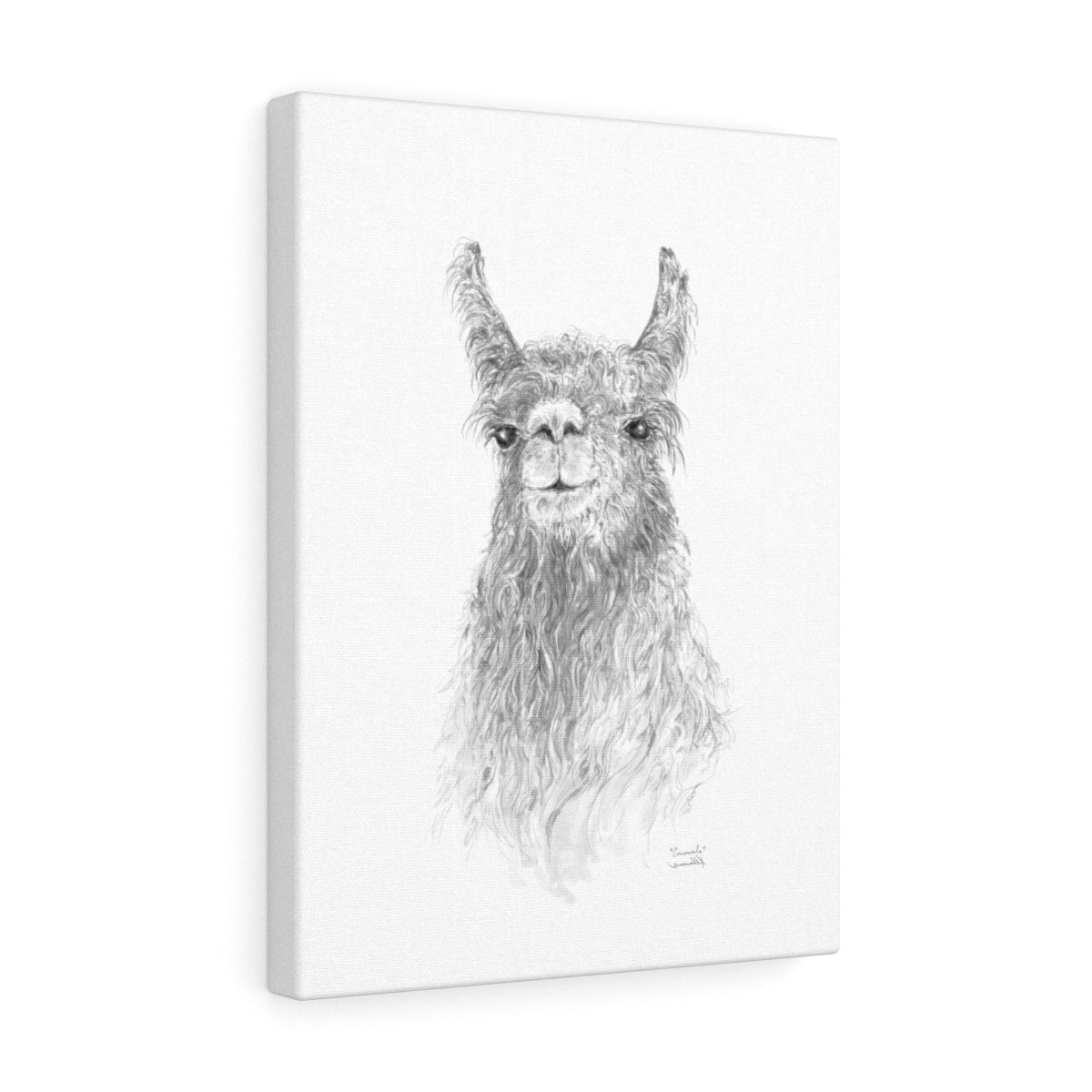 CONSWALA Llama- Art Canvas