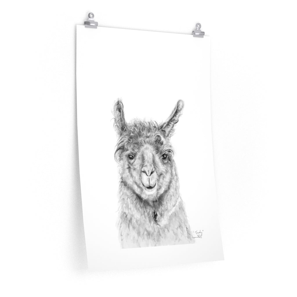 TRUDY Llama- Art Paper Print