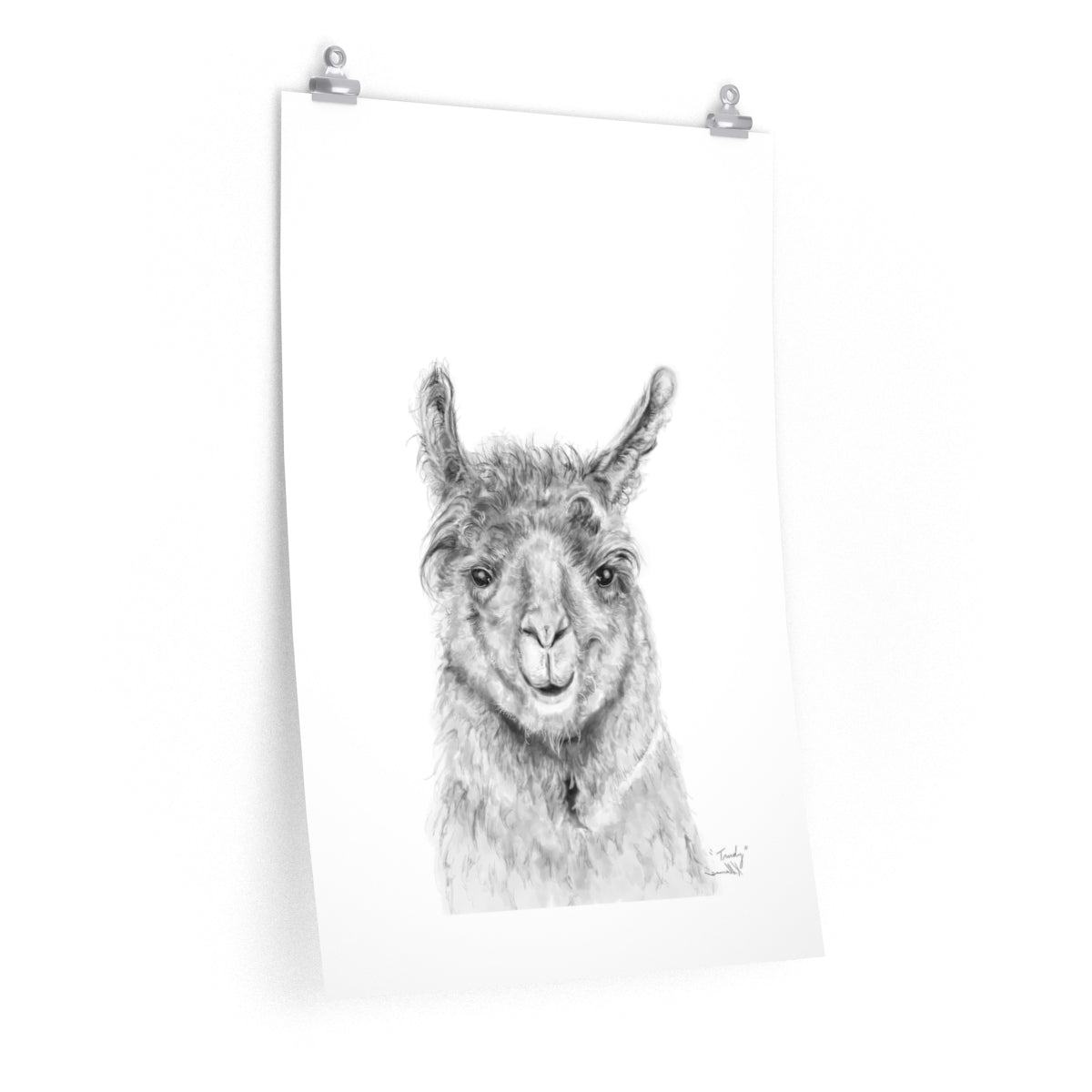 TRUDY Llama- Art Paper Print